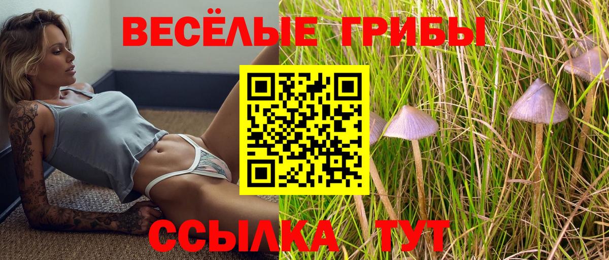 купить   Галлюциногенные грибы Cubensis  Вход с VPN  Тейково 