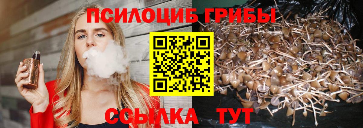 Галлюциногенные грибы Psilocybine cubensis Тейково